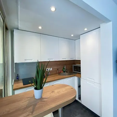 Apartamento Studio - Parking - Balcon Sud - Proche Des Plages *